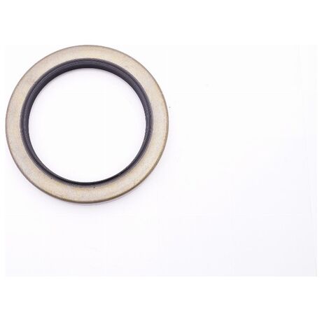 Oil seal